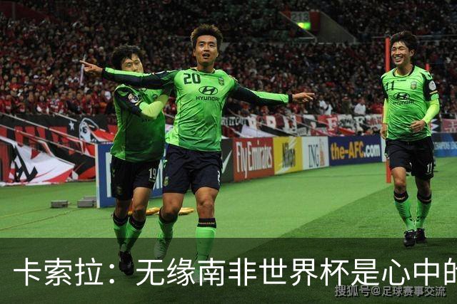 卡索拉：无缘南非世界杯是心中的刺